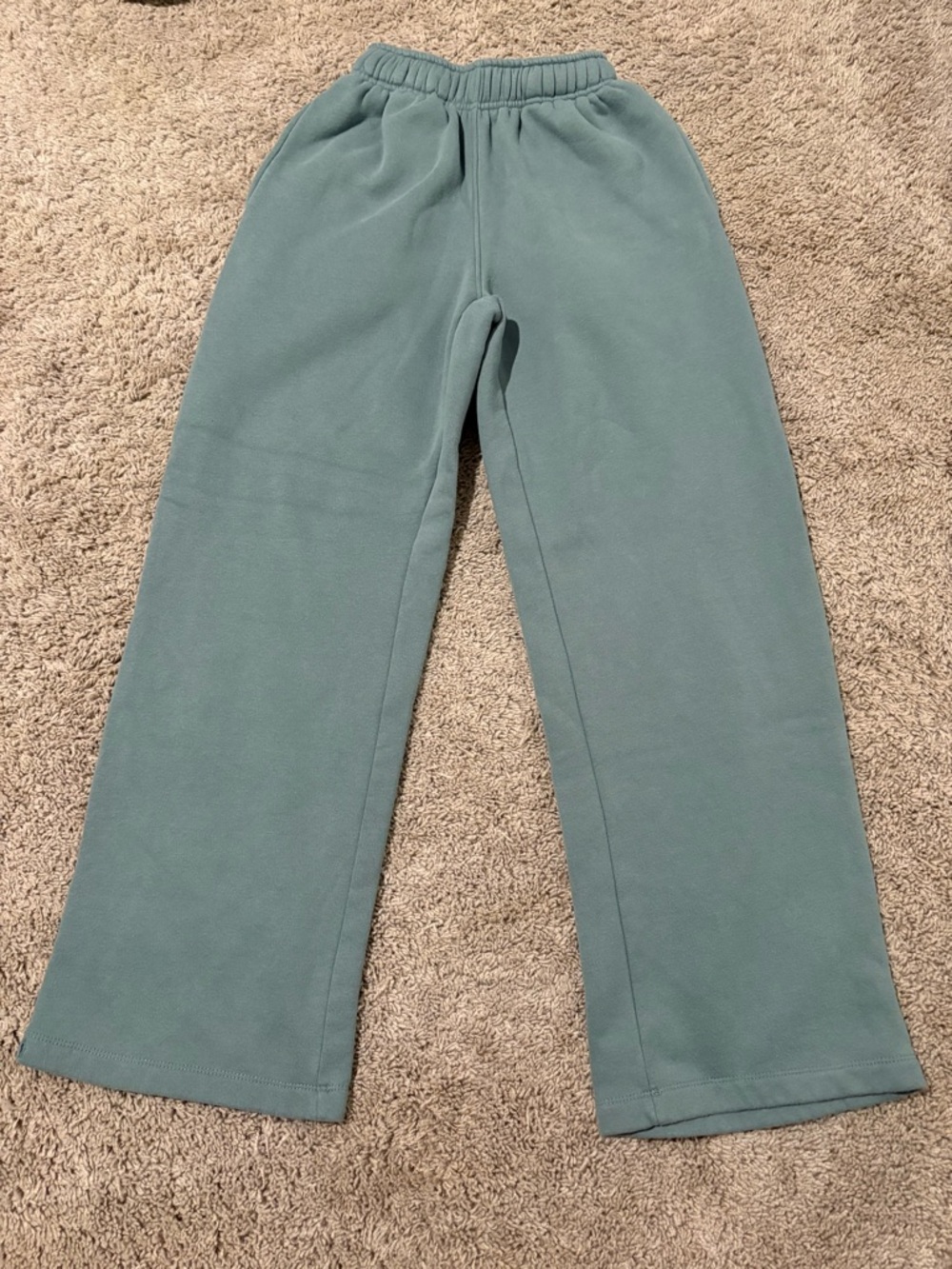 wild fable Teal Fleece Pull-On Joggers